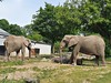 Vratislavská ZOO - jednodenní zájezdy do Polska