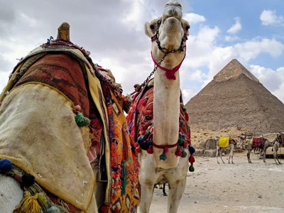 Egypt - oázy Západní pouště