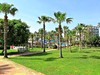 Caretta Beach #4