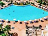 Palm Azur - obrázek č. 3