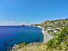 LA MANDORLA #3