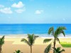Pandanus Beach - obrázek č. 2