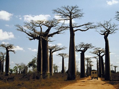 Senegal, Gambie