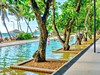 Pandanus Beach - obrázek č. 4