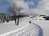 Vysočina - Tři Studně - kurz běžeckého lyžování