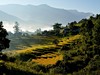 Rýžová políčka nad městem Punakha