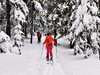 Jeseníky - kurz skialpinismu