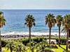 The Views Oasis #3