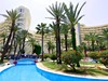 Riadh Palms #3