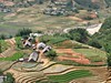 Sa Pa