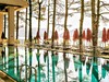 Orka Lotus Beach Hotel - obrázek č. 3