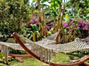 Golden Beach Resort&Spa - obrázek č. 6