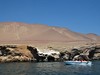 napric peru 04
