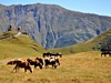 Gruzie - klášter Trinity, Gruzie (Dreamstime)