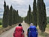 Via Francigena