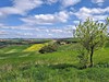 Via Francigena