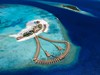 Cinnamon Velifushi