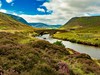 NP Cairngorms