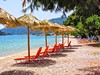 DELFINI #3