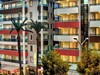 Lonicera City Kleopatra - obrázek č. 6