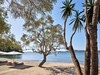 ikos odisia -
