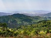 Los Pinos