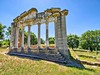 Appolonia