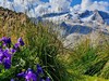 Dolomity