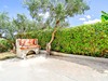 Villa Zante Odysseus #5