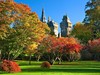 Bute Park