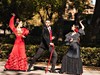 Flamenco Espana