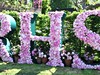 RHS Chelsea Flower Show, Londýn, Velká Británie