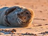 Německo-poznávací zájezd-Helgoland