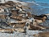 Německo-poznávací zájezd-Helgoland