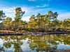 Turistika-Albánie-Pěšky neokoukaným jihem-Divjaka-Karavasta Národní park