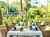Restaurace