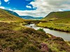 NP Cairngorms