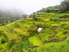 Trek_do_Porto_da_Cruz_madeira_spurek (2).jpg