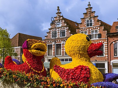 To nejlepší z Amsterdamu + Květinové Korzo