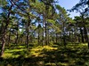 les_Sandhamn_Stockholm