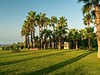 Royal Atlantis Beach #5