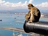 Gibraltar