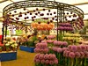 RHS Chelsea Flower Show, Londýn, Velká Británie