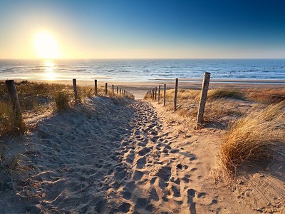 Holandské pobřeží na kole + Amsterdam + Rodinná Květinová Farma