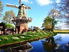 Větrný mlýn v květinovém parku Keukenhof