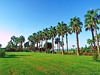 Royal Atlantis Beach #4