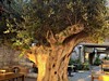 the w costa navarino -