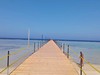 ALEXANDER THE GREAT RESORT #3