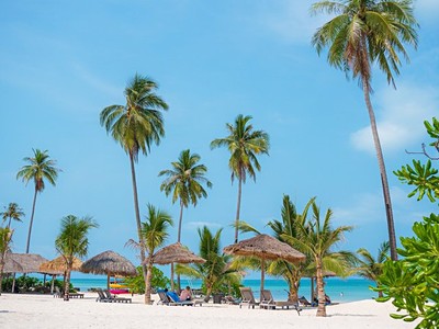 The One Resort