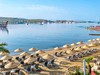 Royal Asarlik Beach #5